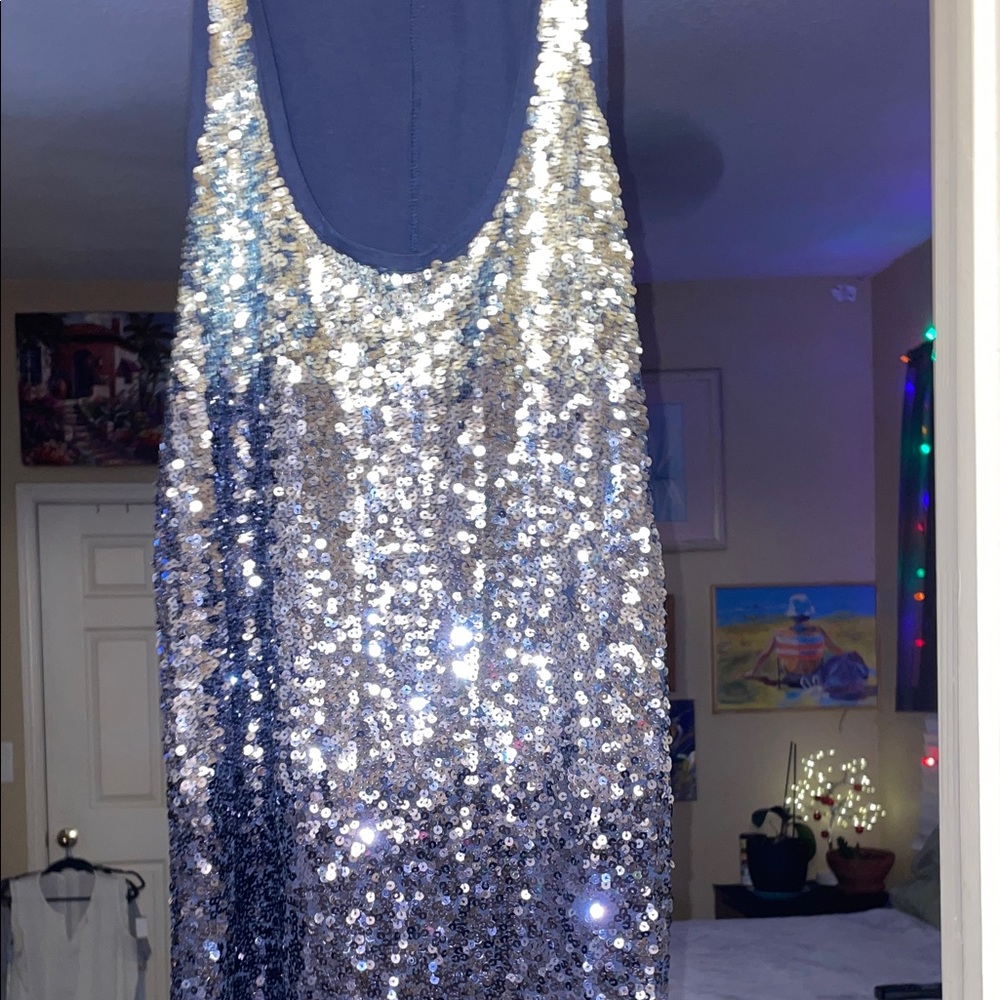 Express Silver Sequin Scoop Neck Camisole